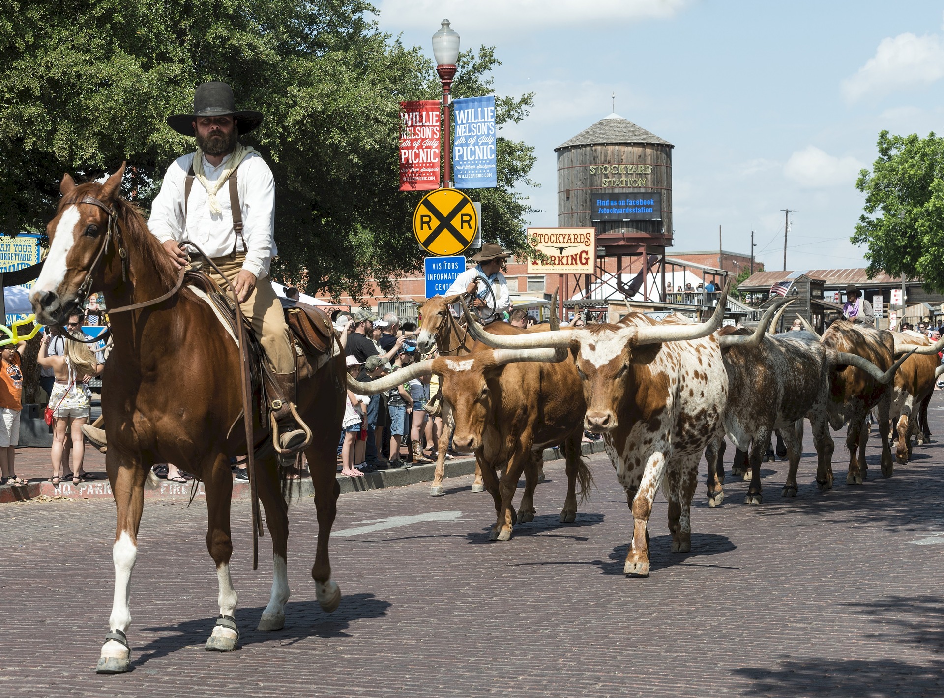 Fort Worth Stockyards Cattle Drive - Texas Kids Adventures