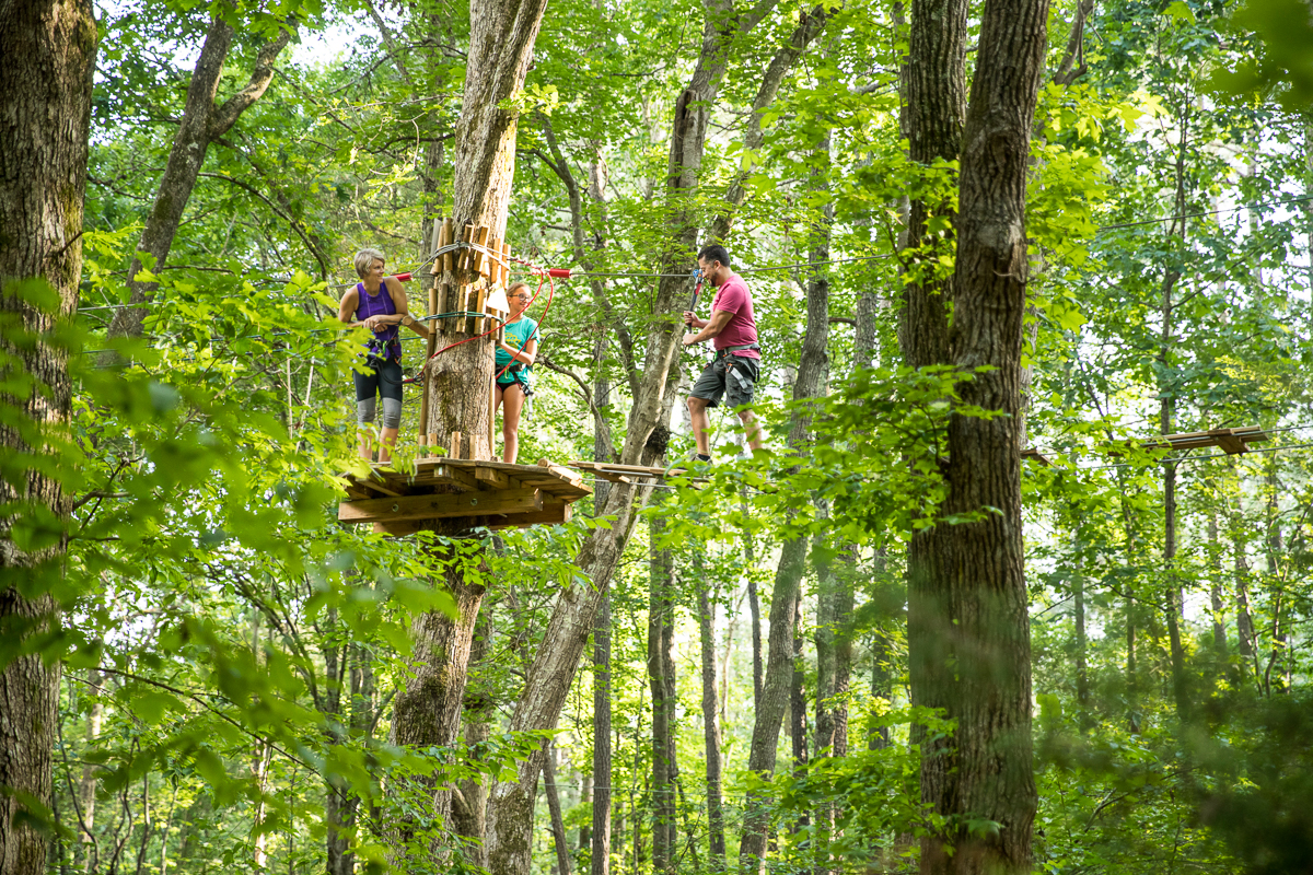 GoApe Treetop Adventure Course